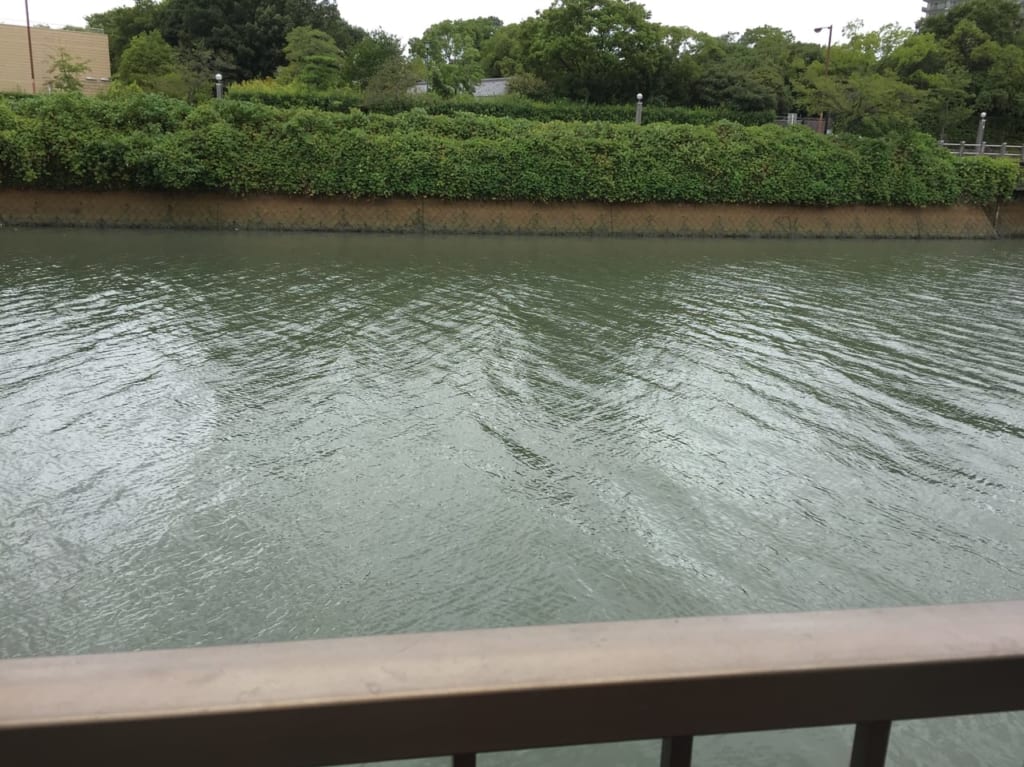 堀川河川増水画像②