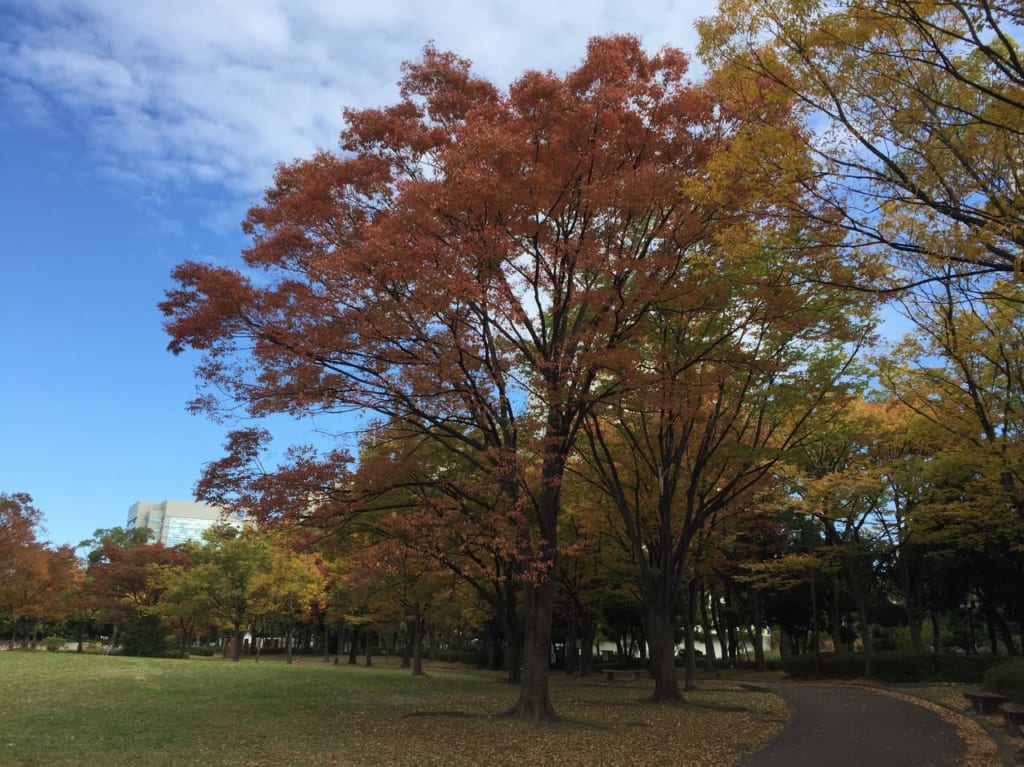 熱田区神宮東公園④